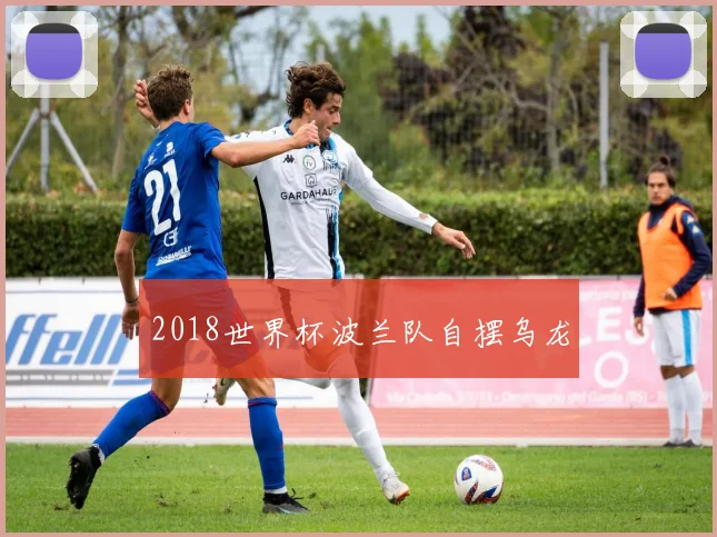 2018世界杯波兰队自摆乌龙