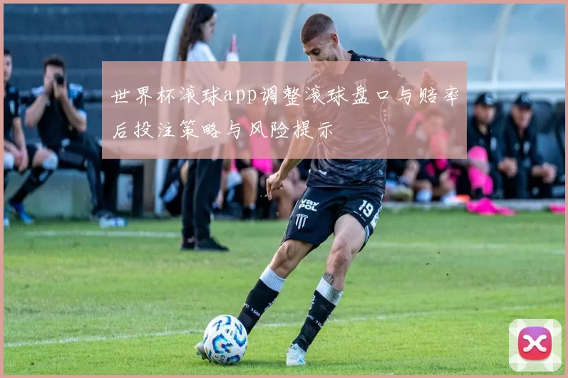 世界杯滚球app调整滚球盘口与赔率后投注策略与风险提示