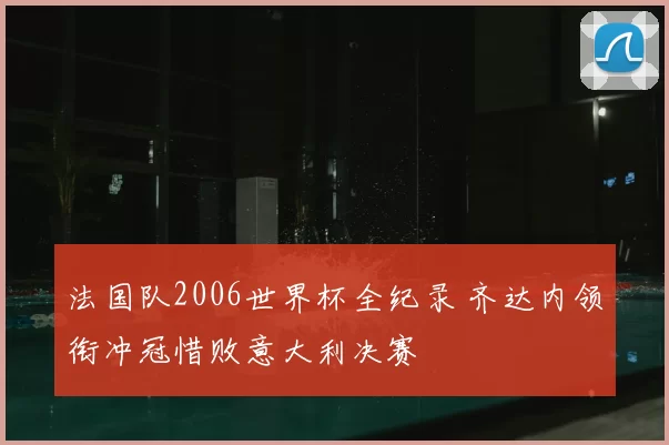 法国队2006世界杯全纪录 齐达内领衔冲冠惜败意大利决赛